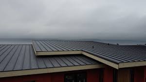 Steel Roofing in Huntertown, IN